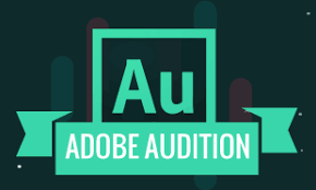 Adobe Audition is an audio editing tool created by Adobe©
